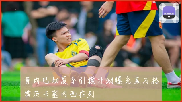 费内巴切夏季引援计划曝光莱万格雷茨卡塞内西在列