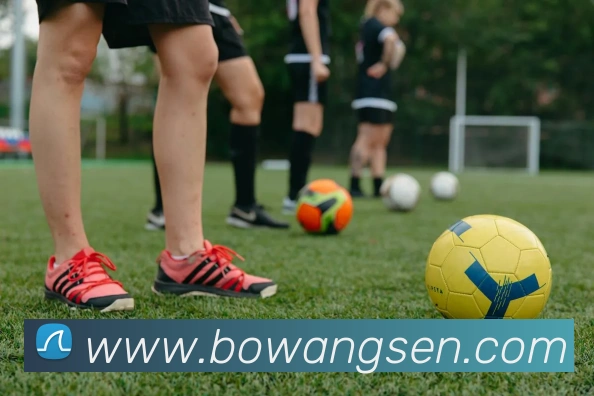 未来规划